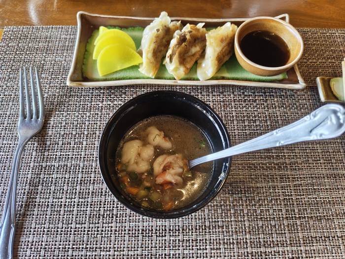 Gyoza dumplings