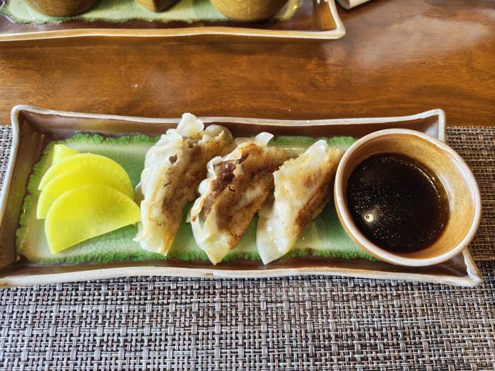 Gyoza dumplings